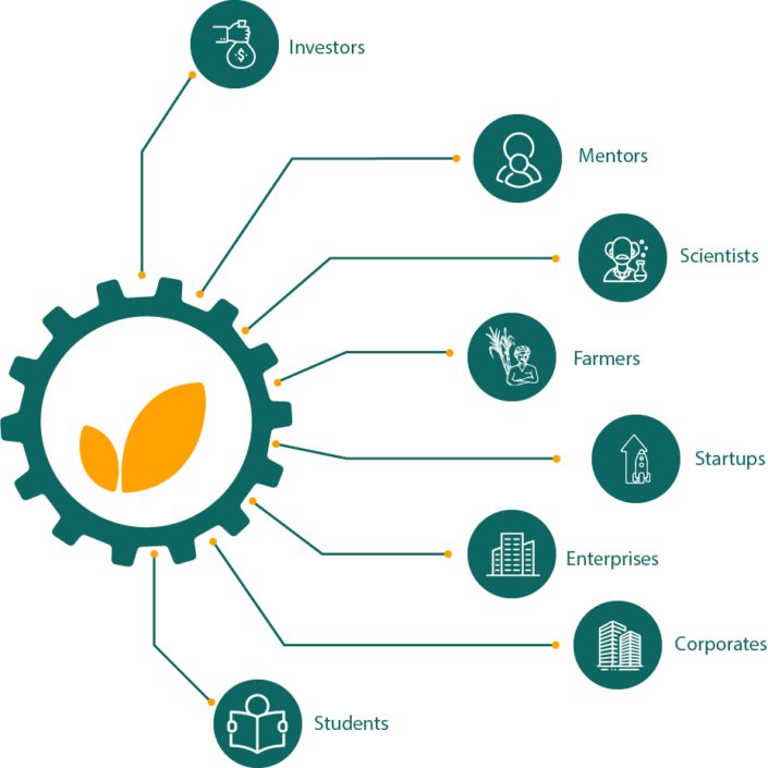 Ag-Hub – Agri & Food Innovation Ecosystem