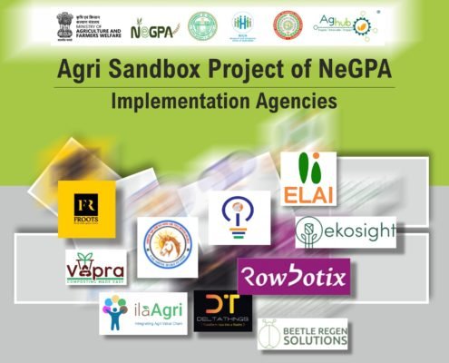 sandbox_brochure